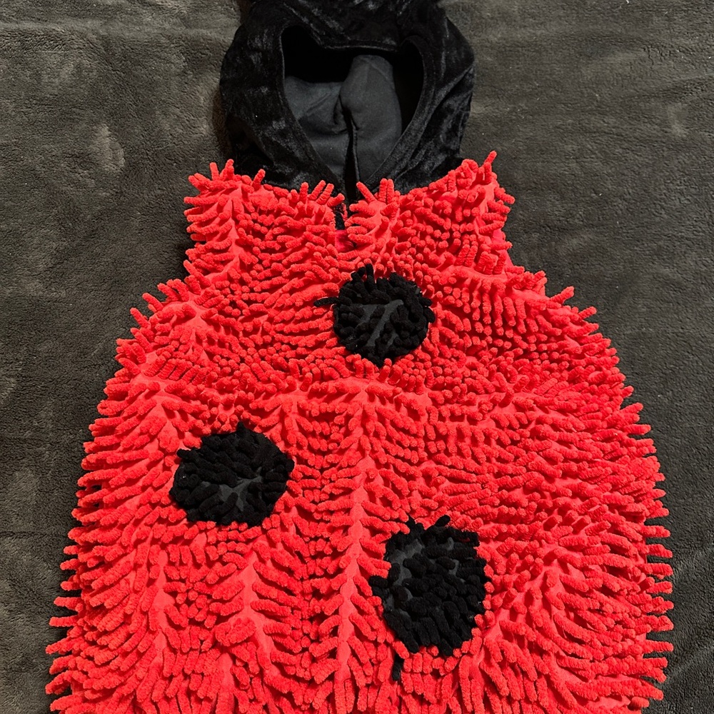 Halloween Authentic Kids Brand 24M Month Toddler Ladybug Costume! Like New!